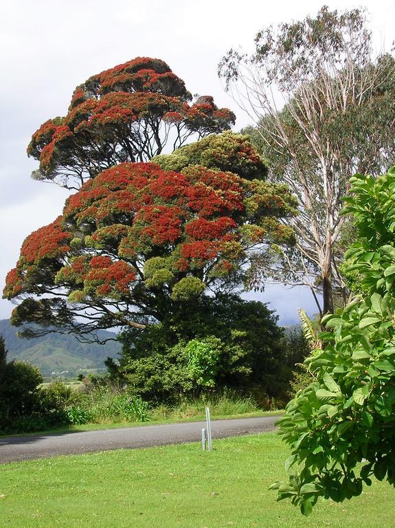 Karamea Holiday Park Exterior foto